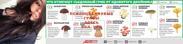 меф Нягань