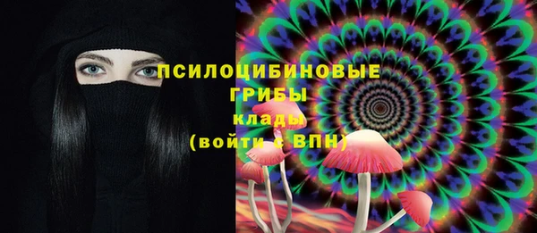 синтетический гашиш Тобольск
