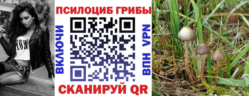 Псилоцибиновые грибы прущие грибы  hydra сайт  Пенза 